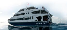 Reviews on Aqua Cat Liveaboard in Bahamas