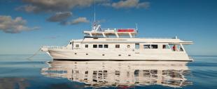 Reviews on Turks & Caicos Aggressor II Liveaboard in Dominican Republic (Silver Bank)