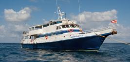 Reviews on Caribbean Explorer II Liveaboard in Saba, St. Kitts & St. Maarten