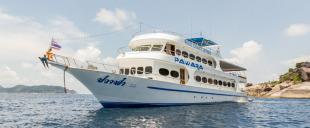 Reviews on Pawara Liveaboard in Thailand