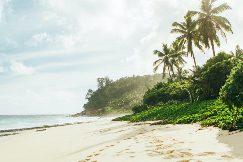 LIVEABOARD DIVING IN Seychelles