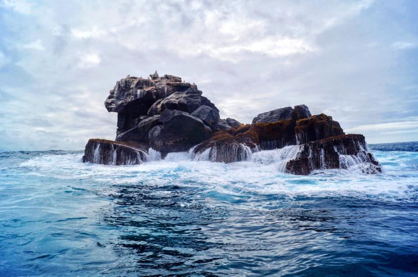 LIVEABOARD DIVING IN Galapagos