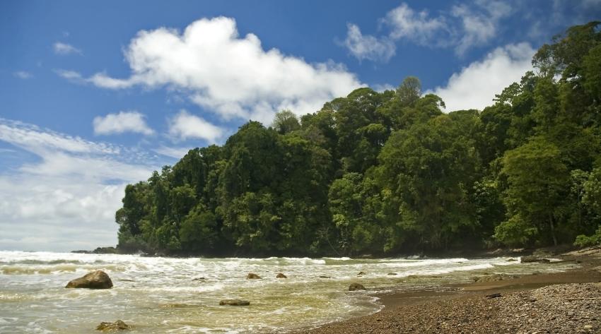 LIVEABOARD DIVING IN Costa Rica