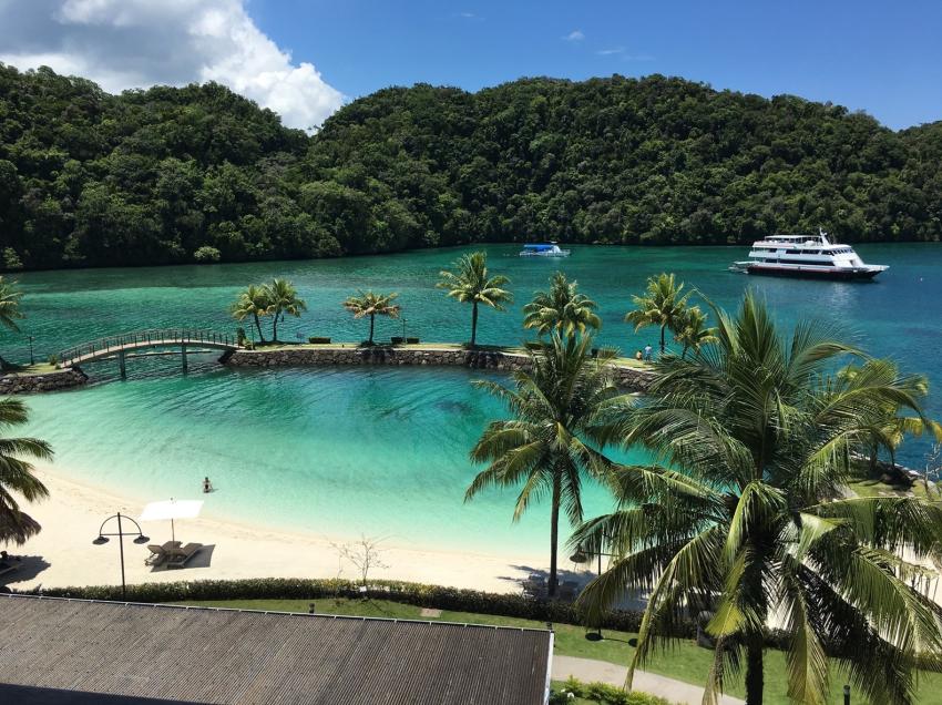 LIVEABOARD DIVING IN Palau