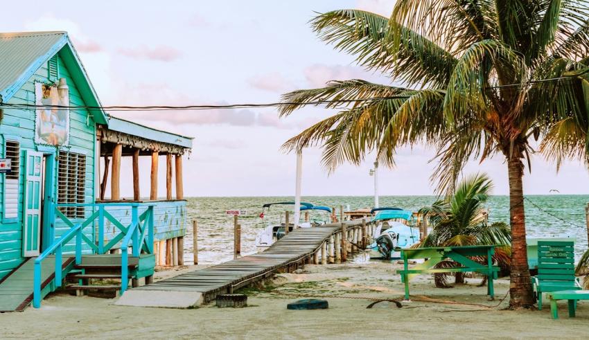 LIVEABOARD DIVING IN Belize