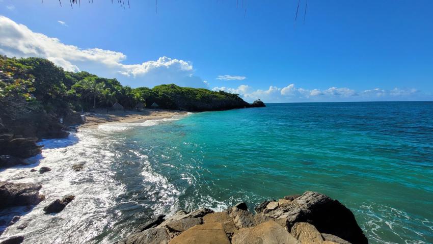 LIVEABOARD DIVING IN Honduras - Roatan